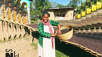 THE MORE IS NOT ALWAYS THE MERRIER | THE WONDER OF SINGLE FARM COFFEE