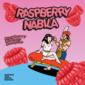 Raspberry Nabila Natural Anaerob | Filter Roast